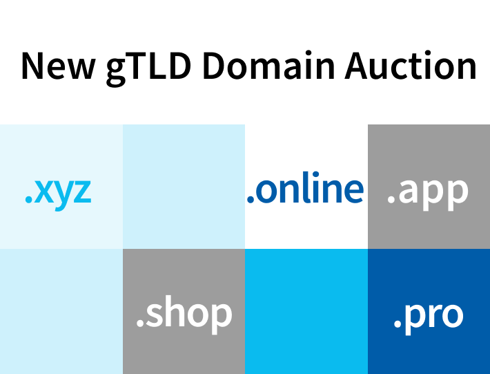 new gTLD Auction